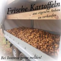 Kartoffel festkochend Baden-Württemberg - Simmersfeld Vorschau