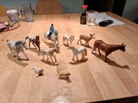 Schleich Tiere Bochum - Bochum-Süd Vorschau