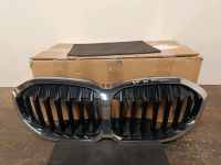 Bmw 1er F40 Grill Kühlergrill 7450959 Nordrhein-Westfalen - Recklinghausen Vorschau