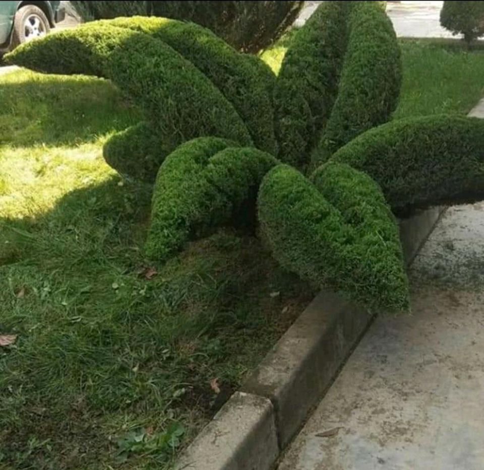 Ich helfe Ihnen alles rund im Garten in Mönchengladbach