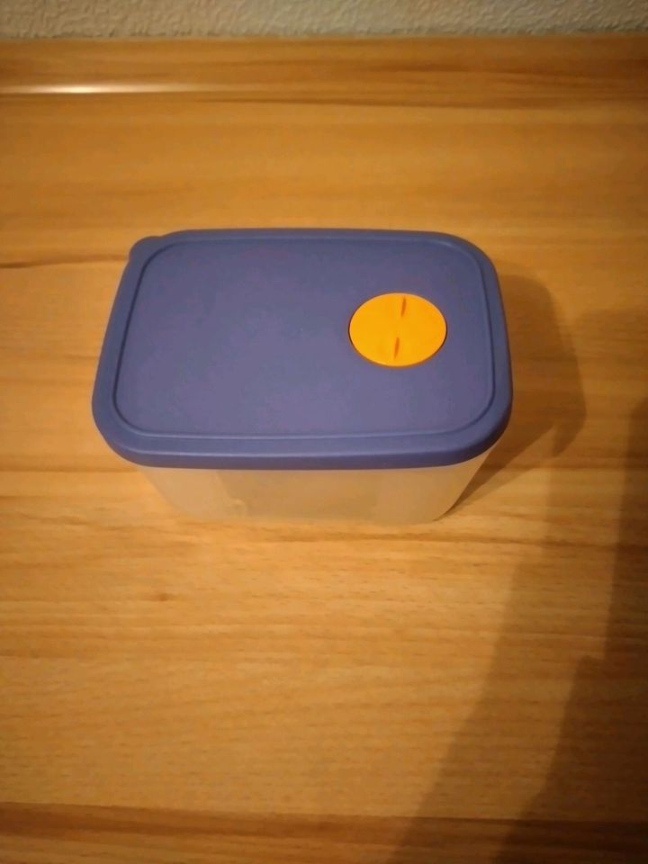 Tupperware gefrierbox mit Monatsangabe in Hagen
