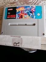 Super Nintendo Spiel PLOK Hessen - Heringen (Werra) Vorschau