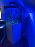 Aquarium ca. 150L Hessen - Biebertal Vorschau