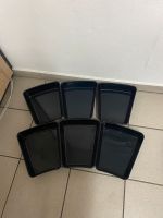 5 x Arcoplast  Schalen für Metzgerei Verkaufstheke, schwarz Nordrhein-Westfalen - Büren Vorschau
