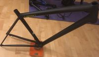 SUCHE Specialized S-Works Aethos 54 RTP Ready to Paint Frameset Hessen - Darmstadt Vorschau