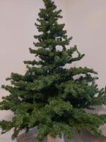 Kunstbaum,  Weihnachtsbaum , 160 cm hoch,  130 cm Durchmesser Nordrhein-Westfalen - Gronau (Westfalen) Vorschau