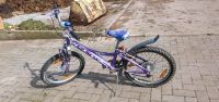 Fahrrad  Mountainbike 20zoll Baden-Württemberg - Emmendingen Vorschau