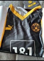 BVB Sondertrikot Bayern - Karlskron Vorschau