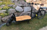 Pedalpower "Long Harry" Elektro Lastenrad Akku neu kein Bakfiets Baden-Württemberg - Marxzell Vorschau