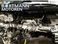 Motor FORD TRANSIT 1.6 TDCi TZGA 27.078KM+GARANTIE+KOMPLETT+VER Leipzig - Eutritzsch Vorschau