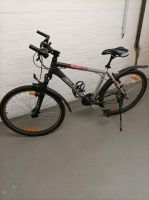 Bulls Mountainbike Alu 26/28 zoll Hamburg - Hamburg-Nord Vorschau