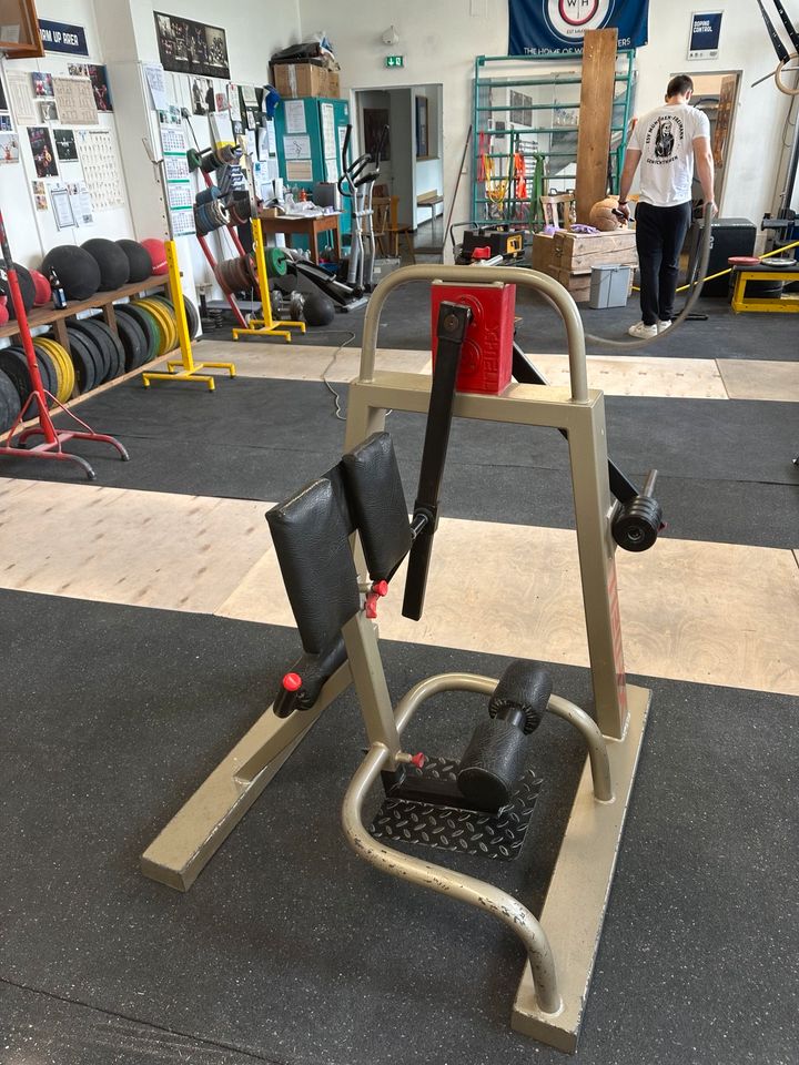 Schnell Rückenstrecker Maschine Rücken Rumpf Training in Kirchheim bei München