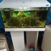 Aquarium 60 l komplett mit Unterschrank Thüringen - Creuzburg Vorschau