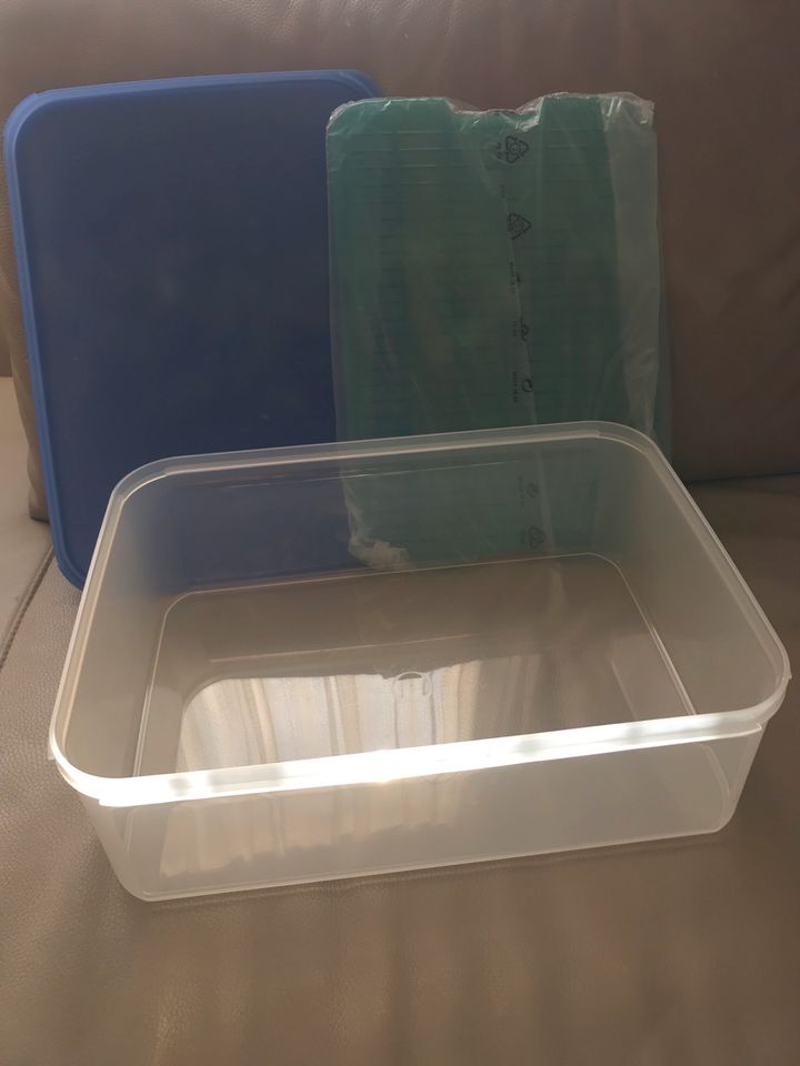 Tupperware Gemüse Frische Box mit Gitter 9,4l NEU in Bochum