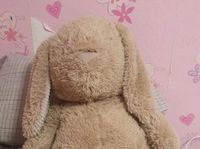 Ein kuscheltier Hase 60 cm Nordrhein-Westfalen - Lohmar Vorschau