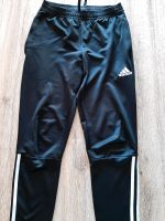 Sporthose Adidas Sachsen-Anhalt - Jeßnitz Vorschau