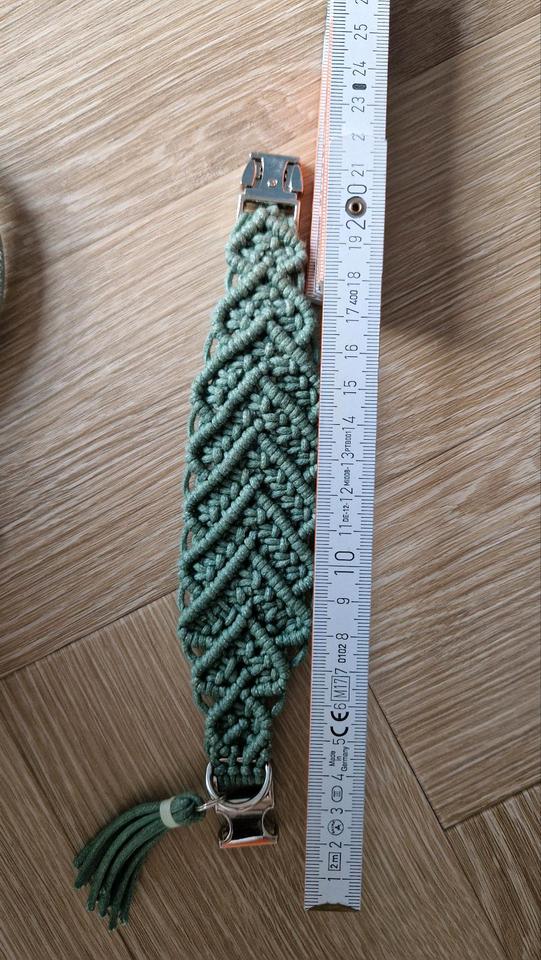 Halsband und Leine für Windspiel sehr klein mint in Magdeburg