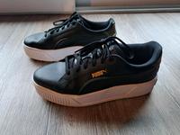 sneaker Turnschuhe von puma Dithmarschen - Nordhastedt Vorschau