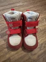 Affenzahn Winterboots Winterstiefel Fuchs Vegan Comfy Gr 24 Bayern - Ingolstadt Vorschau