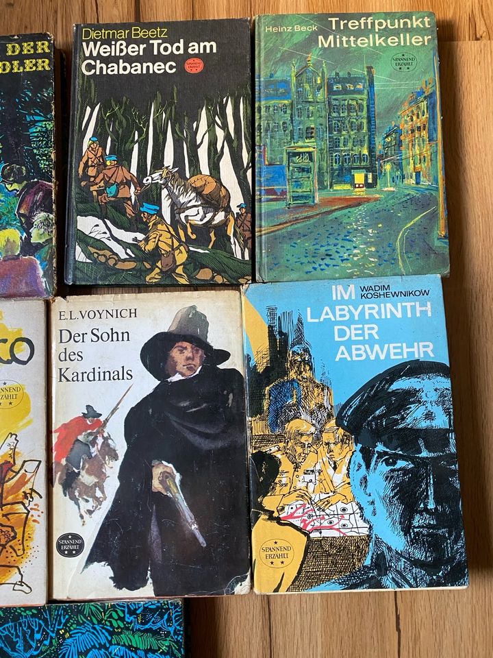 Alte DDR Bücher Reihe spannend erzählt Abenteuer für Jung und alt in Roßwein