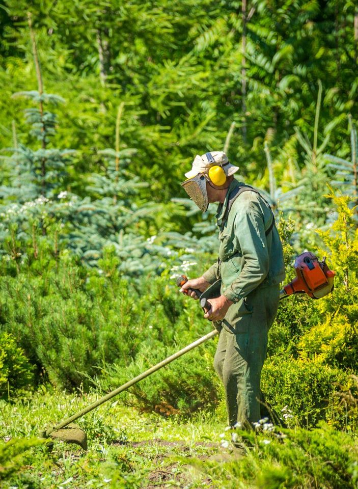 Rasenpflege - Gartenarbeit - Rasenmähen - Heckeschneiden in Hürtgenwald