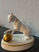 Antiker Porzellan Hund Köln - Nippes Vorschau