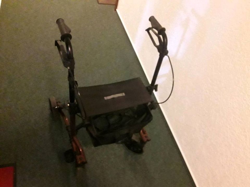 Rollator Dietz taima m *neuwertig* in Ettlingen