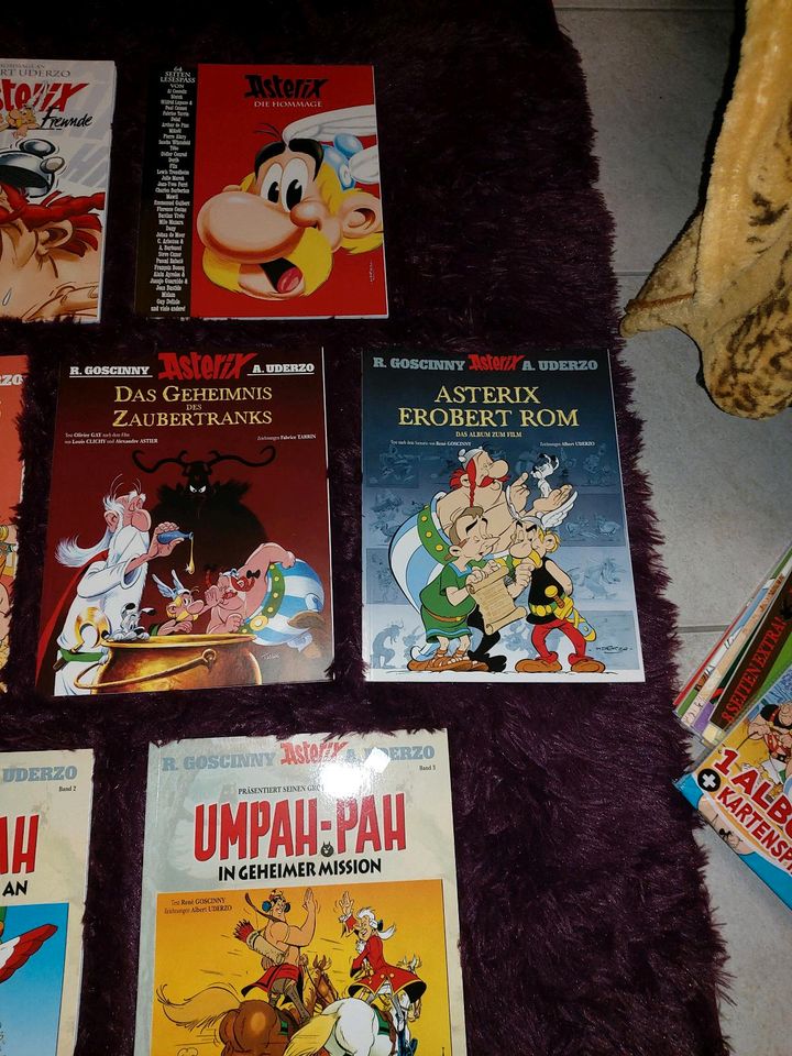 Asterix und Obelix Comics Sonderausgaben in Wegberg