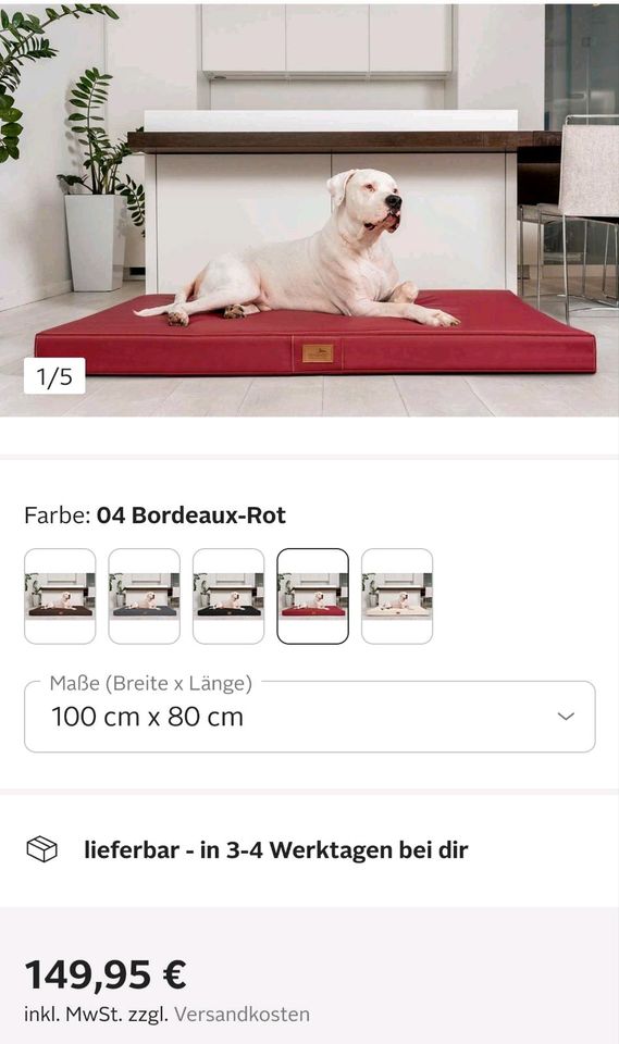 Orthopädisches Hundebett 100x80 für große Hunde in Wurzen