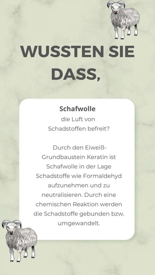 Isolena 100% Schafwolldämmung - für Camper-, Van und Tiny Häuser in Oelsnitz / Vogtland