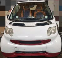 Smart fortwo Cabrio Schlachtfest Teile Baden-Württemberg - Vogt Vorschau