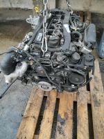 Motor Mercedes  651924 2,2cdi  170ps   58tkm  E220  E250  komplet Sachsen - Dippoldiswalde Vorschau