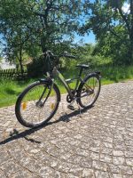 24er Jungen Fahrrad Pegasus Kr. Dachau - Odelzhausen Vorschau