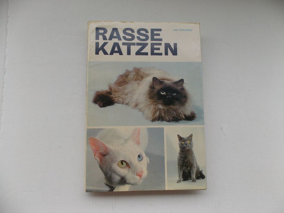 Katzen Buch ! in Neuruppin
