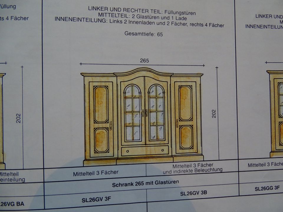 Voglauer Anno 1900 Wohnzimmerschrank in Runkel