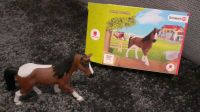 Mc Donalds Happy meal Schleich Oferd Nordrhein-Westfalen - Brilon Vorschau