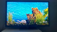 Panasonic TX-L 47 ETW5 LED TV 119cm - 3D - Einschalt Problem - Hamburg-Nord - Hamburg Barmbek Vorschau