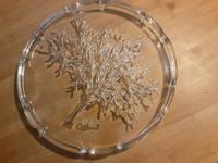 Kuchenplatte Colani Baum Glas sehr guter Zustand Saarland - Quierschied Vorschau