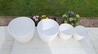Blumentöpfe/Übertöpfe, Keramik, weiß, div. Größen, ab 20,- € Nordrhein-Westfalen - Sankt Augustin Vorschau
