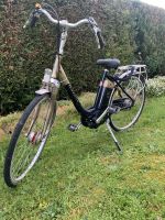 Gazelle e bike Nordrhein-Westfalen - Hamm Vorschau