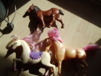 Verschiedene Pferde, (Barbie oder Sonstige) zusammen Nürnberg (Mittelfr) - Südstadt Vorschau