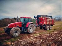 Holz Transport / Hecke entfernen / sonstiges Hessen - Hatzfeld (Eder) Vorschau