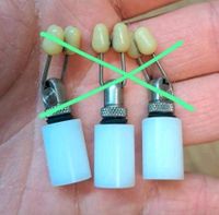 3 × Solar Tackle Body Heads in Weiß/White Bissanzeiger Angeln TOP Niedersachsen - Bad Bentheim Vorschau