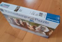 1000 Teile Panorama Puzzle - Wildpferde, Neu original verpackt Hessen - Hanau Vorschau