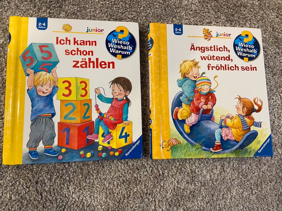 Kinderbücher ? Wieso Weshalb Warum ? in Großlöbichau