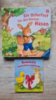 Kinderbücher, Thema Ostern Kreis Pinneberg - Tornesch Vorschau