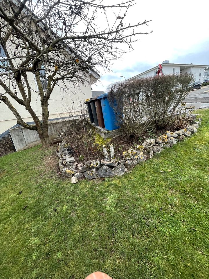 Hecke schneiden Garten Service Zaun Bau Bagger Arbeit in Mücke