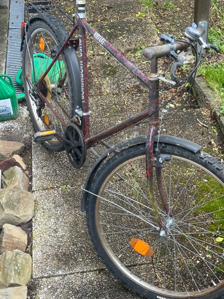 Fahrrad Herren Mountainbike in Thedinghausen