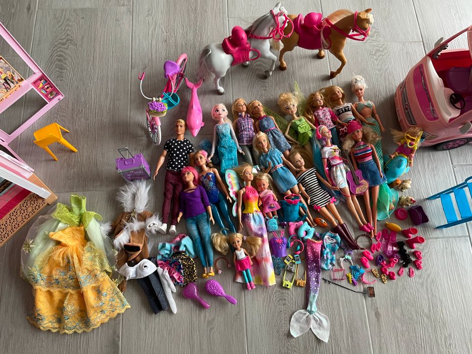 Barbie Set, Puppen, Haus, Fahrzeuge, Pferde und Zubehör in Bad Langensalza