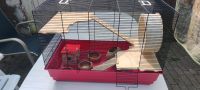 Käfig für einen Hamster Nordrhein-Westfalen - Ahlen Vorschau